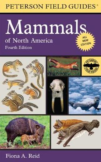 a field guide to mammals of north america (en Inglés)
