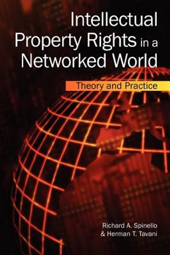 intellectual property rights in a networked world,theory and practice