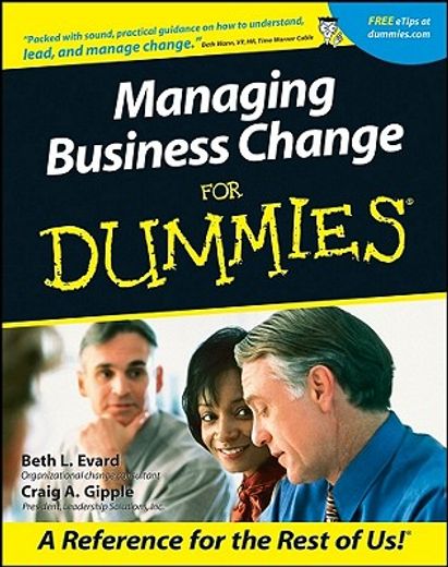 managing business change for dummies (en Inglés)