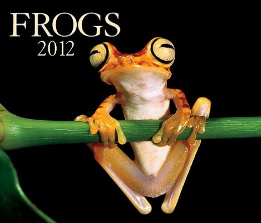 frogs 2012 calendar