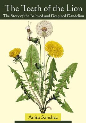 the teeth of the lion,the story of the beloved and despised dandelion