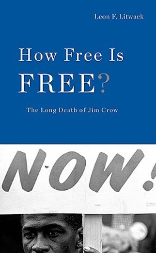 how free is free?,the southern black experience
