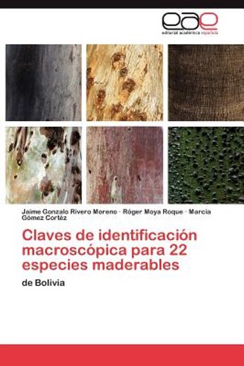 claves de identificaci n macrosc pica para 22 especies maderables