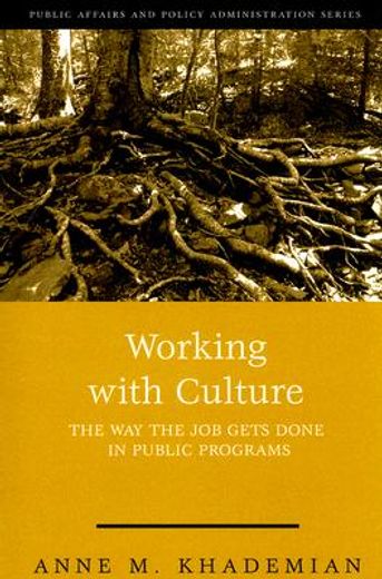 working with culture,how the job gets done in public programs