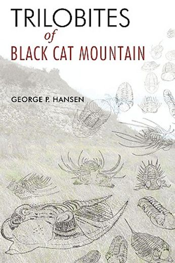 trilobites of black cat mountain (en Inglés)