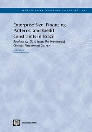 enterprice size,financing patterns and credit constraints in brazil