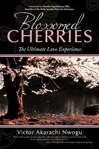 blossomed cherries,the ultimate love experience
