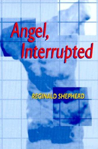 angel interrupted (in English)