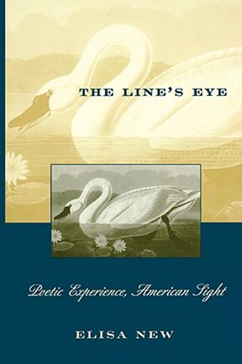 the lines eye,poetic experience, american sight