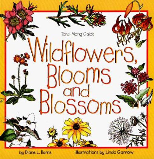 wildflowers, blooms, and blossoms