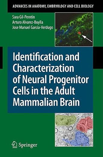 identification and characterization of neural progenitor cells in the adult mammalian brain