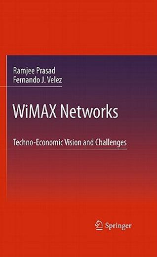 wimax networks,techno-economic vision and challenges