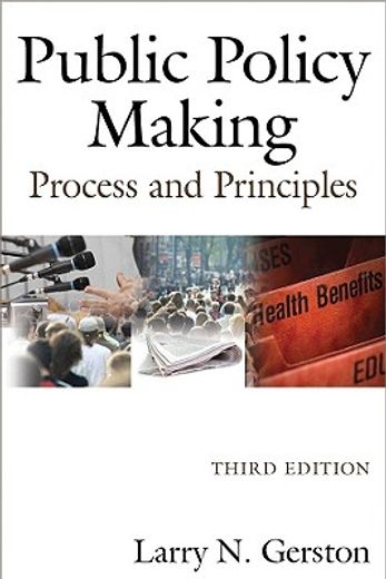 public policy making,process and principles