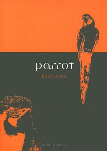 Parrot (in English)