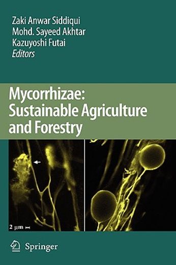 mycorrhizae,sustainable agriculture and forestry