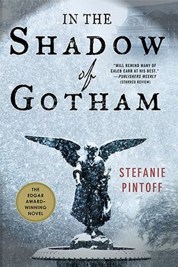 in the shadow of gotham (in English)