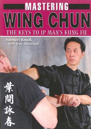 mastering wing chun kung fu
