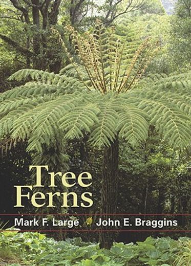 tree ferns (en Inglés)