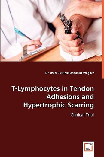 t-lymphocytes in tendon adhesions and hypertrophic scarring