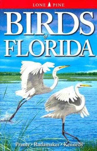 birds of florida (en Inglés)