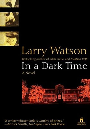 in a dark time,a novel (in English)