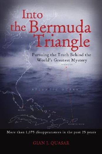 into the bermuda triangle,pursuing the truth behind the world´s greatest mystery
