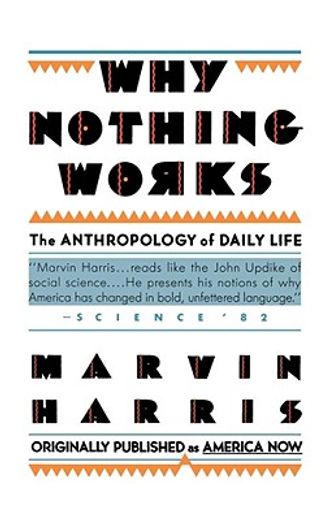 why nothing works,the anthropology of daily life (in English)