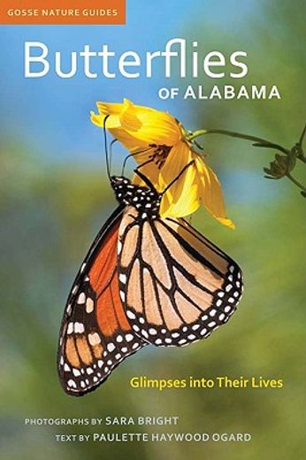 butterflies of alabama,glimpses into their lives