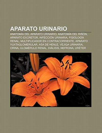 Libro Aparato Urinario: Anatom A Del Aparato Urinario, Anatom A Del Ri ...