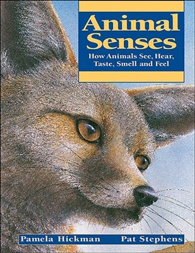 animal senses,how animals see, hear, taste, smell and feel