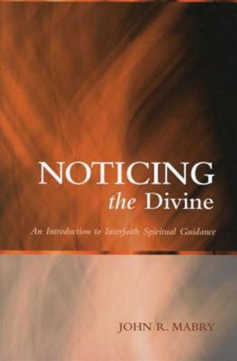 noticing the divine,an introduction to interfaith spiritual guidance (in English)
