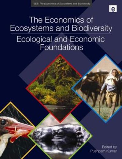 the economics of ecosystems and biodiversity,ecological and economic foundations