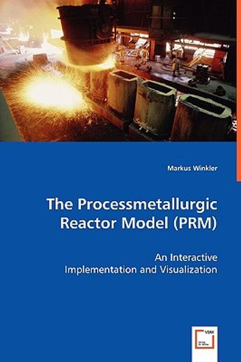 the processmetallurgic reactor model (prm) - an interactive implementation and visualization