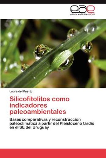 silicofitolitos como indicadores paleoambientales