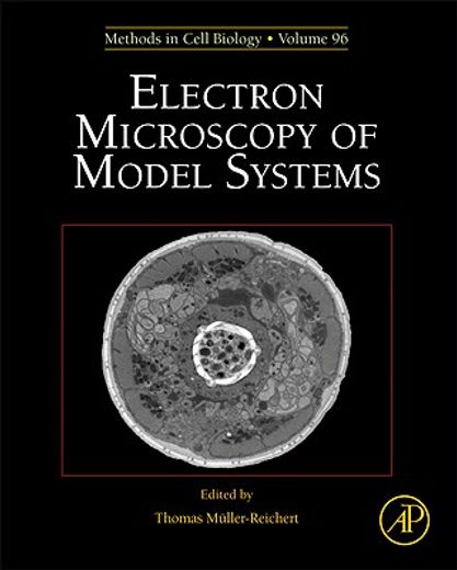 electron microscopy of model systems