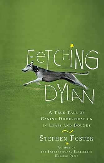 fetching dylan,a true tale of canine domestication in leaps and bounds