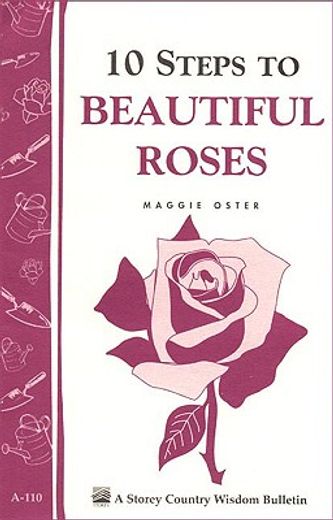 10 steps to beautiful roses