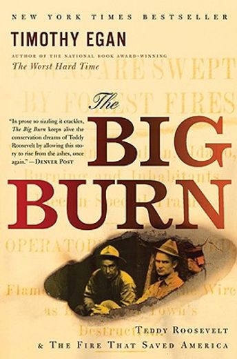 the big burn,teddy roosevelt and the fire that saved america (en Inglés)