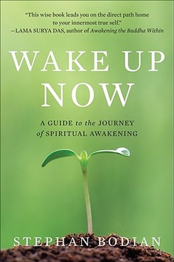 wake up now,a guide to the journey of spiritual awakening (en Inglés)