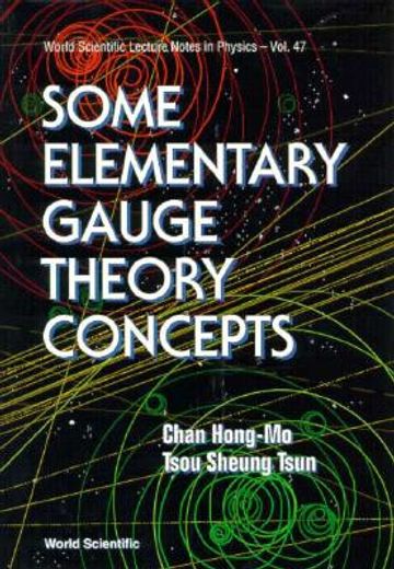 some elementary gauge theory concepts