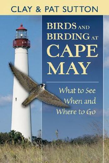 birds and birding at cape may
