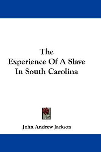 the experience of a slave in south carol