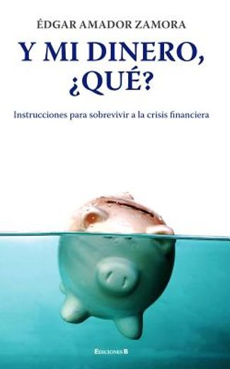 Y Mi Dinero, Que?: Instrucciones Para Sobrevivir a la Crisis Financiera = And My Money, That?