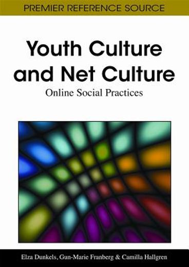 youth culture and net culture,online social practices