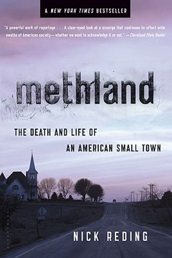 methland,the death and life of an american small town