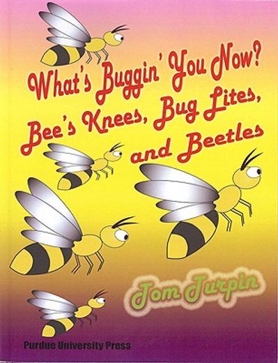 what´s buggin´ you now?,bee´s knees, bug light and beetles