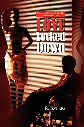 love locked down,a novel about women in relationships with incarcerated men (en Inglés)