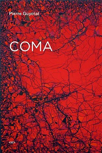 Pierre Guyotat Coma (in English)