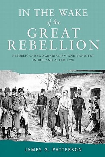 in the wake of the great rebellion,republicanism, agrarianism and banditry in ireland after 1798