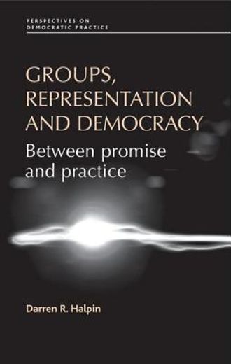 groups, representation and democracy,between promise and practice